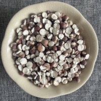 2031 Graines de Gorgon Euryale séchées, non coupées, sans soufre, de haute qualité pour l'alimentation