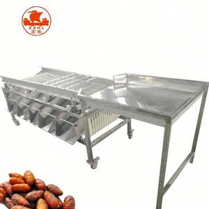 เครื่องคัดแยกเลมอนสำหรับทำความสะอาดและคัดแยกอโวคาโดมะเขือเทศอัตโนมัติ - Product Image 1