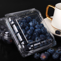 Boîtes d'emballage pour myrtilles, prix personnalisés, contenants alimentaires carrés jetables en PET avec couvercle transparent pour nouilles, sushis, pizzas, jus, chewing-gums