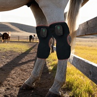 Enveloppe de Genou Souple pour Chevaux à Thérapie par Lumière Rouge 660nm 850nm Infrarouge LED 92 LED avec Contrôle par Panneau Tactile pour la Récupération Articulaire Équine et l'Équitation