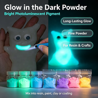 Pigment photoluminescent durable à base d'eau et de solvant, poudre luminescente qui brille dans le noir
