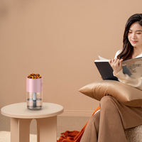 Mini Diffuseur d'Huiles Essentielles à Brume Froide avec Effet Flamme, Veilleuse, USB pour Voiture, Alimentation Électrique sur Batterie, Humidistat, en Plastique, Garantie 1 An, pour Aromathérapie