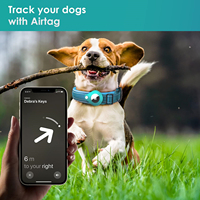 Nouveautés : Collier pour chien en nylon réfléchissant et réglable avec support AirTag, durable et robuste, pour chiens de taille moyenne à grande