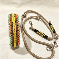 Ensemble collier et laisse pour chien réglables sur mesure, laisse en corde bleue tressée personnalisée assortie pour chiens de petite et grande taille, promenade en plein air