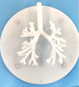 Modelo de bronquio rígido, modelo de entrenamiento médico, modelo de entrenamiento para broncoscopia - Product Image 6