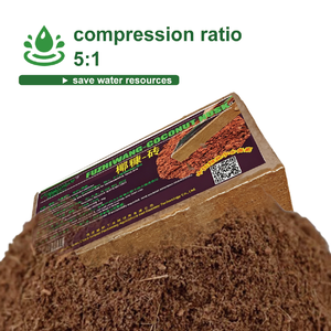 Brique de coco <span class=keywords><strong>bio</strong></span> haute expansion 1,5 lb pour terrarium bioactif Dart Frog – <span class=keywords><strong>Substrat</strong></span> de coco - Product Image 1