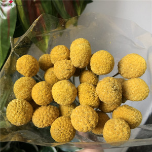 QSLH-S0427ลูกบอลสีเหลืองพันกระดุมแบบธรรมชาติสำหรับเทศกาลคริสต์มาสดอกไม้แห้งงานปาร์ตี้งานฝีมือที่บ้านงานแต่งงานวันฮาโลวีนเทศกาลอีสเตอร์ - Product Image 6