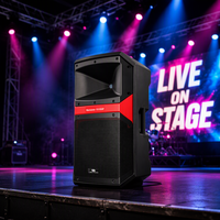 Enceinte active Renovo-151DSP 15 pouces 300W RMS Classe D, aimant ferrite 50OZ, tweeter titane 34mm, audio professionnel pour sonorisation live