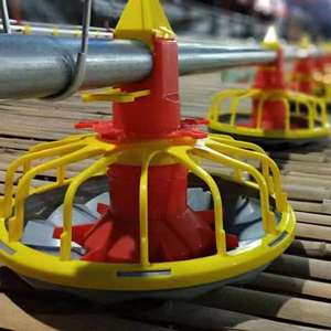 Vente directe d'usine de nouveaux mangeoires en plastique pour poulet volaille divers modèles d'équipement d'élevage automatique avec 1 an de garantie - Product Image 5