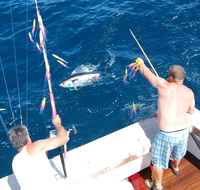 Jupes à plumes truquées Leurre de pêche en eau salée Pêche au thon Squid Bird Offshore spreader bar Fishing