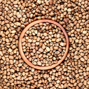 Granulés de Moth Bean Premium 99% Pures et Naturelles Séchées au Soleil, Herbe Unique, Épice, Approvisionnement en Vrac, Haute Qualité, Durée de Conservation 24 Mois, Gujarat - Product Image 2