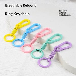 <b>Keychains</b> Clips with O Rings in Bulk Quick Release Key Chain Rings Spring Double Ring Keychain Holder for Bag Gift Wholesale - Product Image 2