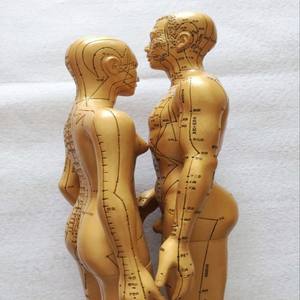 Modelo de meridianos de acupuntura masculino y femenino, color cobre, 50 cm, 48 cm, herramienta educativa médica - Product Image 4