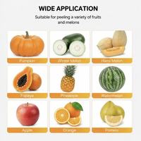 Automatische fruitenschilmachine, commerciële multifunctionele schiller voor watermeloen, pompoen, wintermeloen, Hami-meloen, papaya