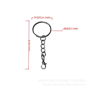 Llavero de hierro con cadena redonda y cierre de mosquetón para accesorios de llaves - Product Image 4