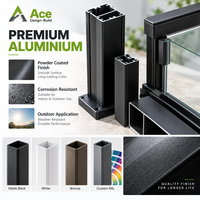 Système de garde-corps en verre à poteau en aluminium Ace pour balcon