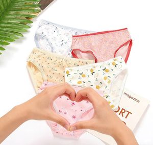 Culottes pour petites filles, douces, écologiques, antistatiques, en coton respirant, culottes triangulaires, imprimé de dessins animés mignons, vente en gros en vrac - Product Image 4