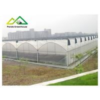 Meestverkochte Gotische Tuinbouwkas Kit |   Grote turnkey commerciële structuur voor hoogproductieve groente- en bessenteelt