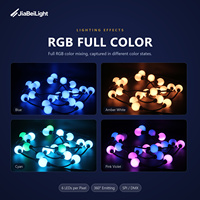 Boule de pixels numériques à 360 degrés, diamètre 50 mm, DC24V, 6 LED SMD 3535 RGB avec lumière ponctuelle DMX 512 pour intérieur