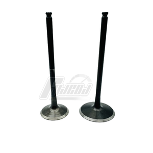 Phụ tùng xe máy van động cơ cho cfmoto 800nk cf800mt lượng và van xả - Product Image 1