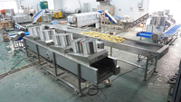 Ligne de production de friteuses automatiques pour légumes Fengxiang personnalisée, machine de lavage, de pelage, de découpe, de tri et d'emballage