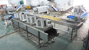 Línea de Producción Automática de Vegetales Personalizada Fengxiang, Máquina para Lavar, Pelar, Cortar, Clasificar y Empacar Vegetales - Product Image 5