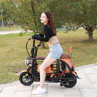 Vélo Électrique Monoplace D1 Little Dudu de Haute Qualité pour Animaux de Compagnie, Scooter pour Chiens de Petite/Moyenne Taille, 38kg, 48V, Cadre en Acier, Moteur Arrière 400W