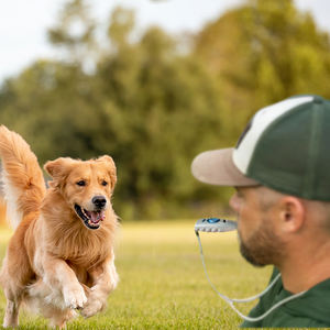 Pet <span class=keywords><strong>Dog</strong></span> Training Whistle Clicker Pet <span class=keywords><strong>Trainer</strong></span> Click Guide d'aide au chiot Obéissance Order Equipment - Product Image 5