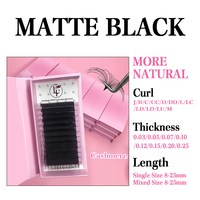 Extensions de cils 3D Volume faites à la main de haute qualité en plateaux 0.02 0.03 0.05 0.07 0.20 CC Cheveux synthétiques véganes sans cruauté animale Marque privée