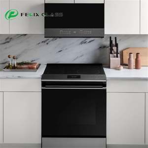 แผงกระจกนิรภัยอิเล็กทรอนิกส์สำหรับอุตสาหกรรม สำหรับเฟอร์นิเจอร์ เตาไมโครเวฟ ปรับแต่งขนาดและโลโก้ได้ มาตรฐาน IP65 ทนทาน - Product Image 5