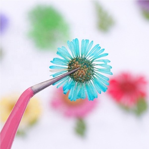 Fleur séchée pour les ongles, 1 boîte, 3D, vernis à ongles <span class=keywords><strong>Gel</strong></span> UV, naturel, autocollants de fleurs séchées - Product Image 4