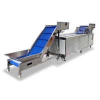 Industriële fruitdrooglijn, fruit snijmachine, chili verwerkingsmachines