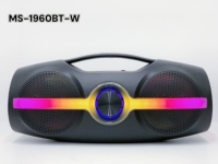 Haut-parleur portable sans fil Bluetooth avec microphone et caisson de basses 24W, lecteur sport pour la maison, cadeau, fête RGB MS-1960BT-W