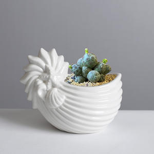 Vaso da fioriera in ceramica smaltata con fioriera in ceramica con conchiglia a conchiglia in stile nordico piccola <span class=keywords><strong>succulenta</strong></span> - Product Image 5