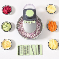 Heetst verkopende 9-in-1 multifunctionele ABS+roestvrijstalen plastic rasp fruit ui snijder/dicer handmatige salade snijder groente