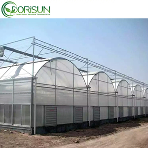 Venta al por mayor <span class=keywords><strong>precio</strong></span> de fábrica de vidrio templado multi span invernadero sistema de red de insectos para la Agricultura - Product Image 3