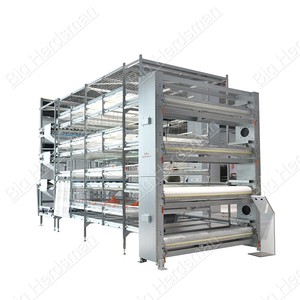 Gabbia Automatica per Polli da Carne con Pavimento a Doghe in PP ad Alta Resistenza per Ridurre Malattie di Zampe e Torace, Prezzo di Fabbrica CE - Product Image 2