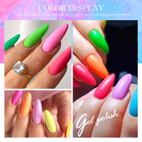 Fournisseurs de Gel pour Ongles Marque Privée Gel de Couleur Soak OFF Vernis à Ongles Gel de Couleur