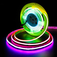 Prix de gros 576 LED/m WS2811 SPI Magic Digital Dream Color Flexible COB LED Strip pour la décoration de fêtes