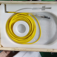 Raycus sumber daya Laser serat nadi, 20W 30W 50W q-switch untuk menandai ukiran emas perak tembaga aluminium Stainless steel