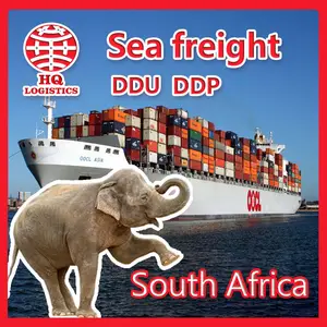 Fast freight forwarder agent shipping agent to south africa by sea shipping urgent in china to south africa