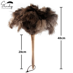 Dụng Cụ Lau Bụi Lông Đà Điểu, Dụng Cụ Lau Bụi Lông Vũ Lông Đà Điểu Lông Mịn Tự Nhiên Chính Hãng Có Tay Cầm Bằng Gỗ Để Làm Sạch Nhà Cửa Và Xe Hơi - Product Image 4