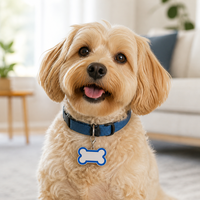 Emaille-Haustier-ID-Anhänger OEM ODM Knochenform Farbiger Rand Zinklegierung Blanko Lasergravur Hund Katze Halsband Karabinerverschluss Individueller Name