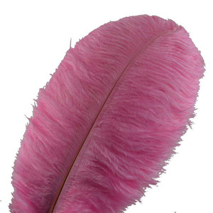 Petit pôle mince en résine d'autruche, 25-30cm, 10-12 pouces, décoration de plumes d'autruche, mur de <span class=keywords><strong>plume</strong></span> rose en vrac - Product Image 5