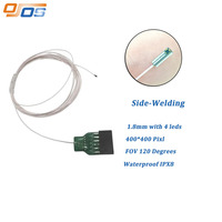 Módulo de cámara Micro Mini Endoscopio Resolución 400*400 Longitud y salida de cable personalizadas para veterinario e Inspección