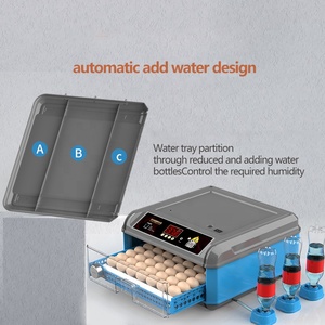 Mini kleine 64 Eierb rutsch ränke für verschiedene Eier heißer Verkauf in Dubai - Product Image 5