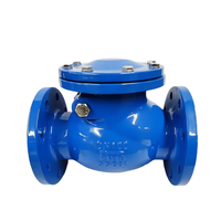Válvula de Retención Rotativa Estándar Británico HanQian H44T/X/H, Hierro Dúctil GGG50, Conexión de Brida de 8 Pulgadas, ASME B16.25, Cierre de Agua