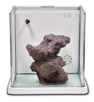 Bio-Active Rock Aménagement Paysager Coral Reef Fish Tank Décoration Aquariums Accessoires Live Rock Function