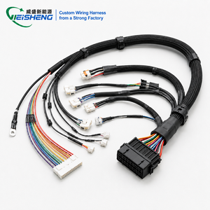 Câble de signalisation du système de gestion de batterie (BMS) - Transmission de données fiable pour les packs de batteries LiFePO4 - Product Image 1