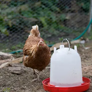 Alimentador de plástico para aves domésticas, equipamento para alimentação de animais para fazenda